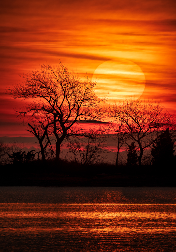 Realistic Comp In Class M By Mark Houde For Silhouetted Sunrise FEB-2019.jpg